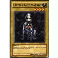 Chien-Crâne Marron