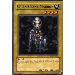 Chien-Crâne Marron