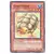 Tortue Gora