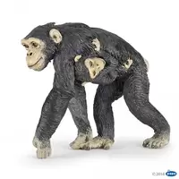 Chimpanzé et son bébé