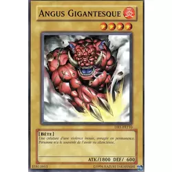Angus Gigantesque
