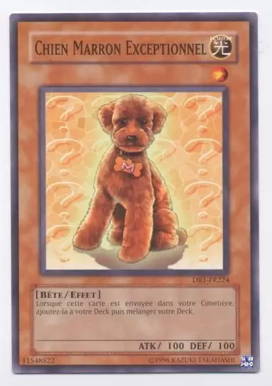 Sombre Révélation Volume 1 DR1 - Chien Marron Exceptionnel