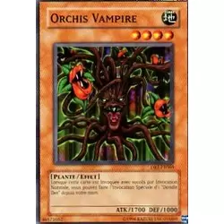 Orchis Vampire
