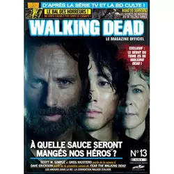 Walking Dead magazine 13A