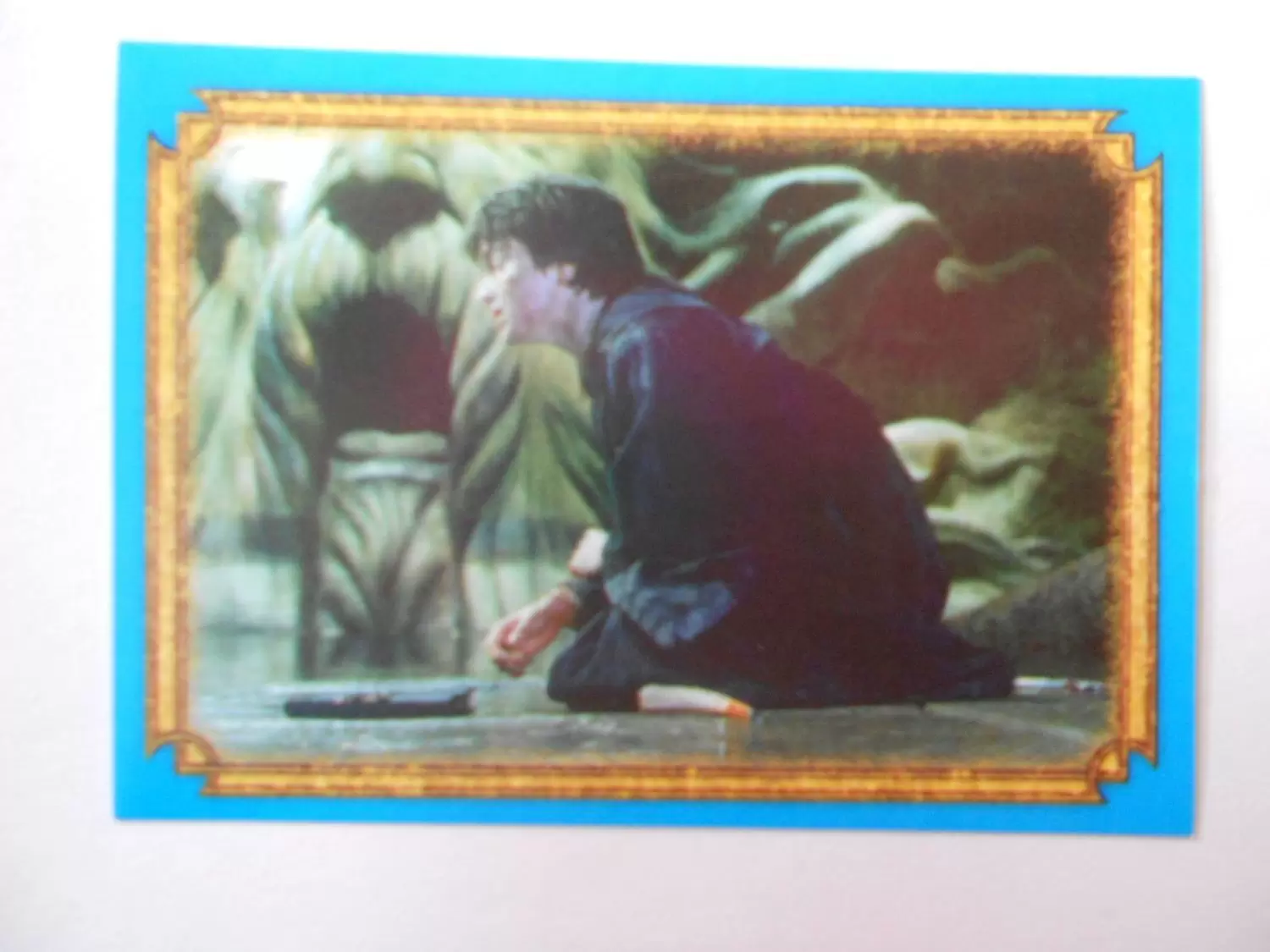Harry Potter et la Chambre des Secrets - Image n°201