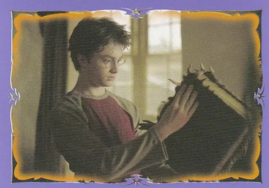 Harry Potter et le prisonnier d\'Azkaban - Image n°20