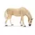 Jument akhal-teke