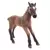 Horse Club - Poulain camarguais