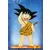Sangoku au 22e tournoi