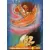 Sangoku utilisant le Kaïo Ken