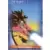 DragonBall Anthologie (Panini) - Force 1 - Sangoku 4