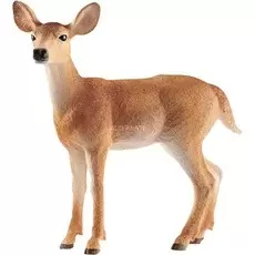 Wild Life - Biche de Virginie
