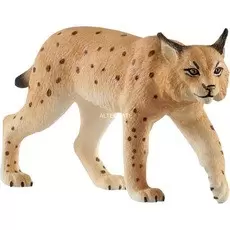 Wild Life - Lynx