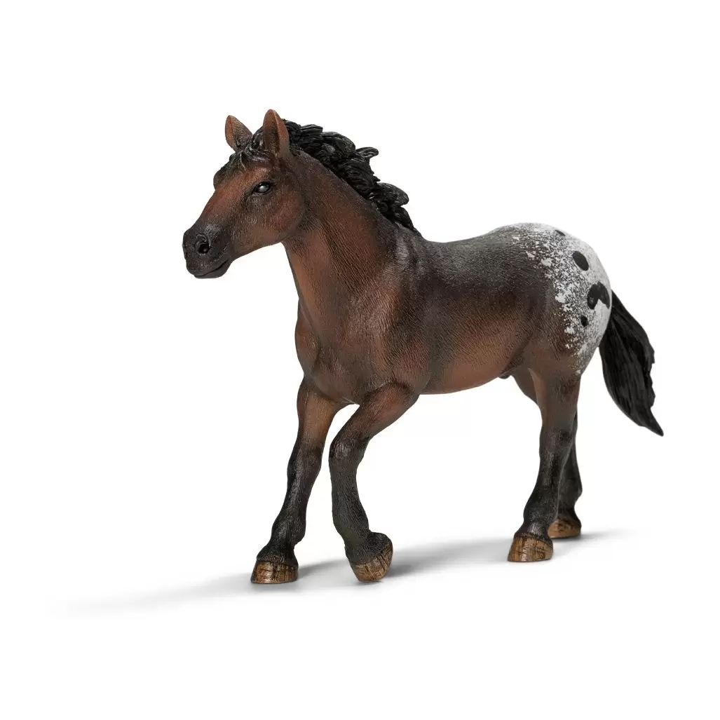Horse Club - Etalon Appaloosa