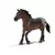 Etalon Appaloosa