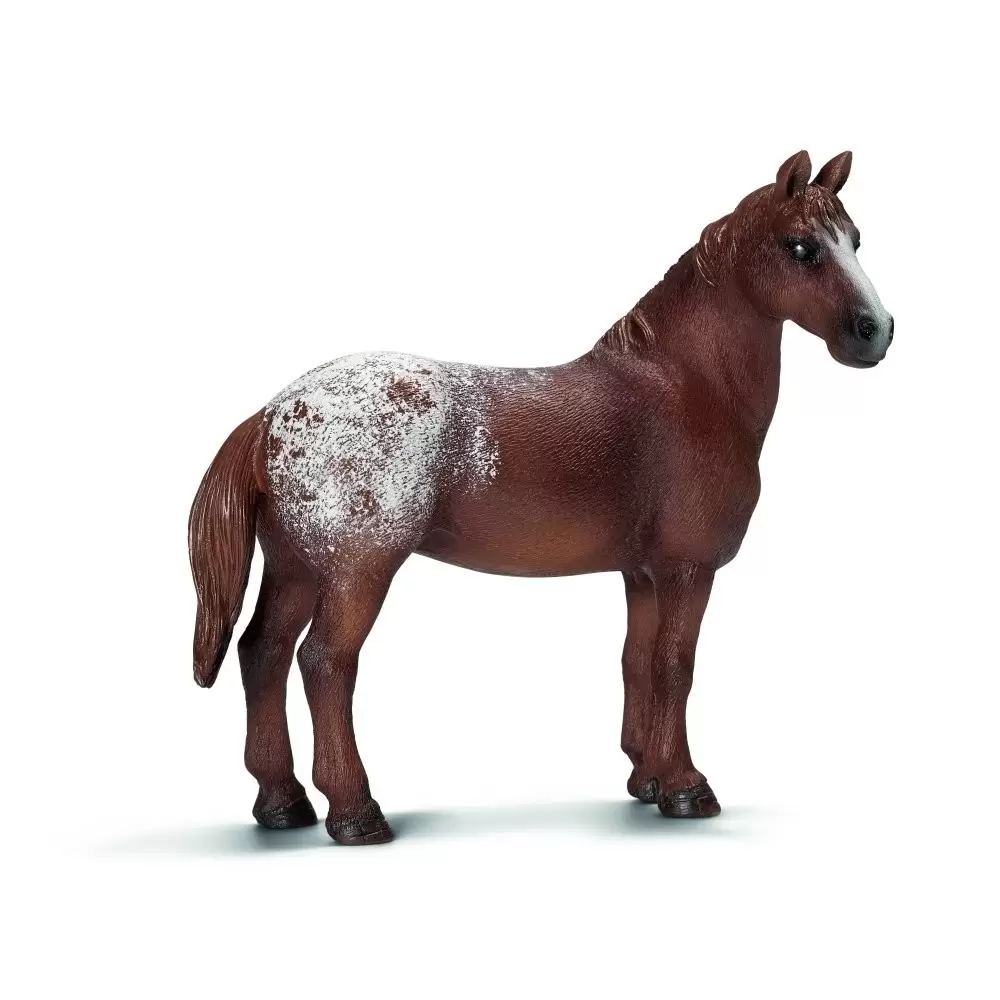 Horse Club - Jument appaloosa