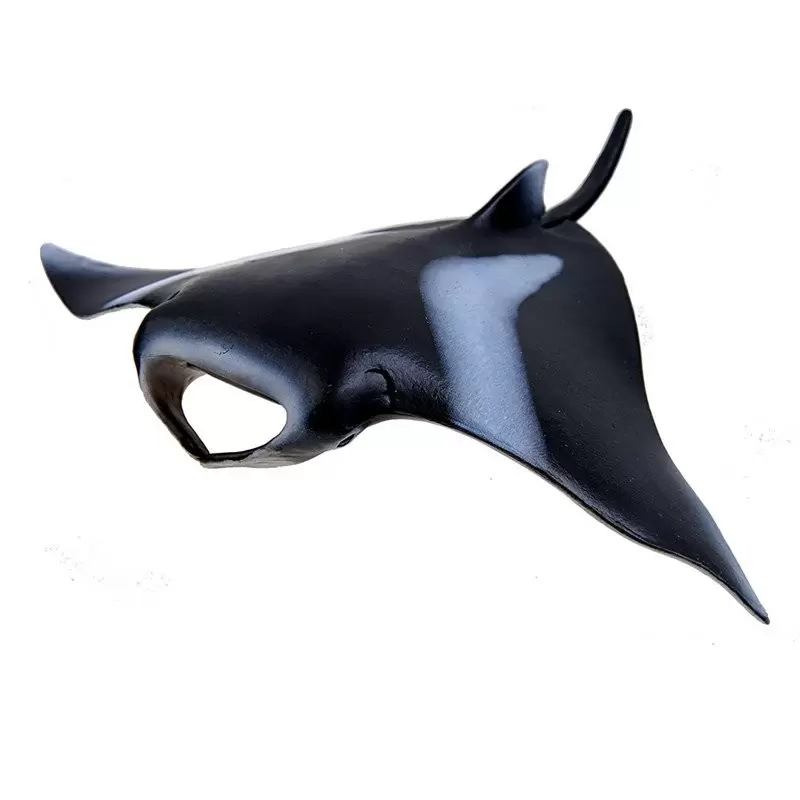 Wild Life - Raie manta