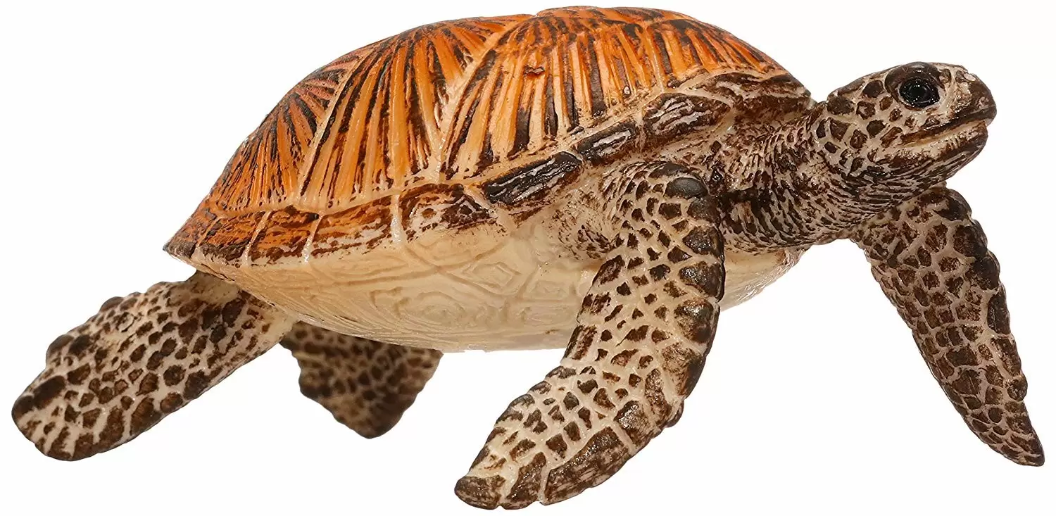 Wild Life - Tortue de mer