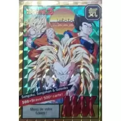 Songoku, Songohan & Gotenks - Bravo 500e carte !