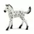 Horse Club - Poulain Knabstrupper