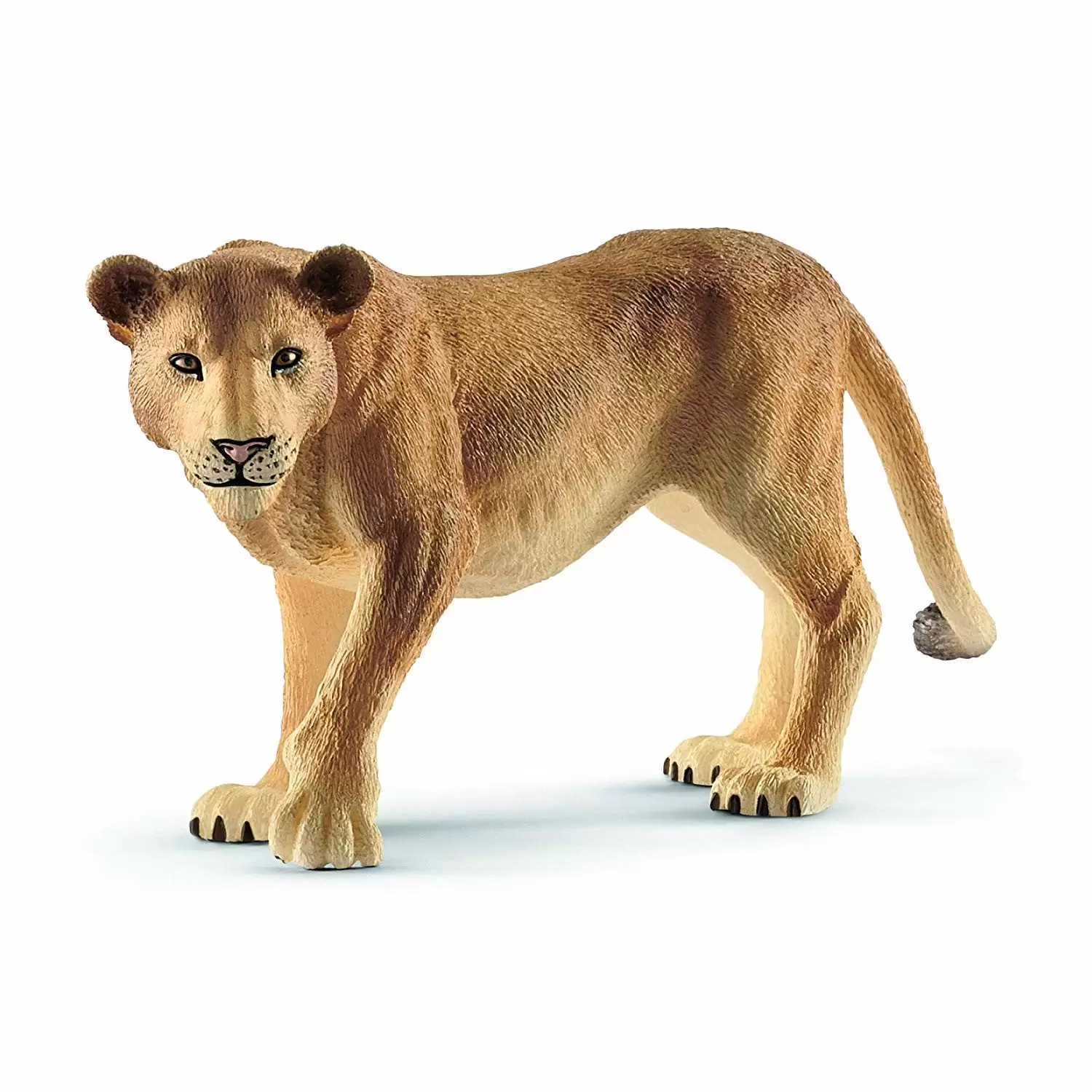 Wild Life - Lionne