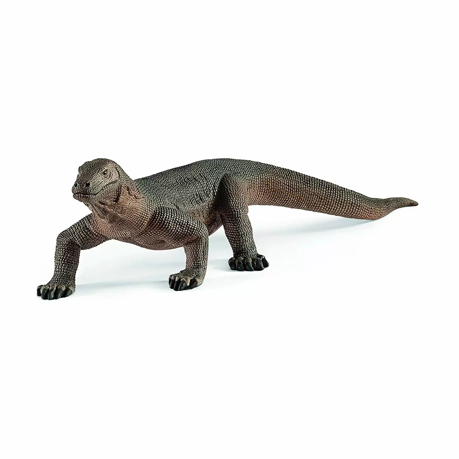 Wild Life - Dragon de Komodo