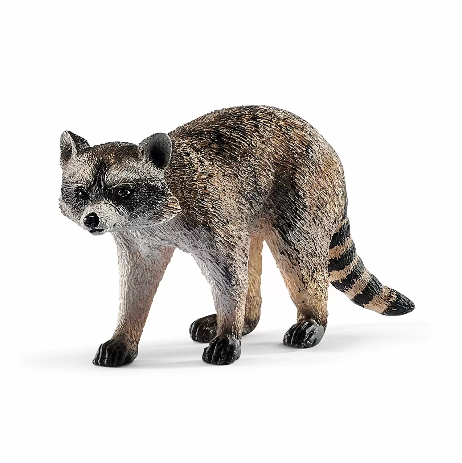 Wild Life - Raton Laveur