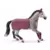 Jument Trakehnen Concours équestre