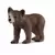 Wild Life - Maman Grizzly avec Ourson