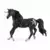 Licorne de Lune, étalon