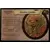 Harry Potter - The Chamber of Secrets - Garden Gnome