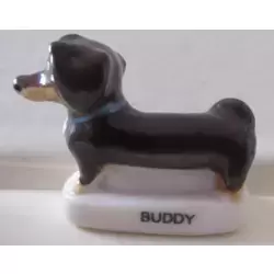 Buddy