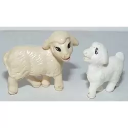  Sheep and lamb