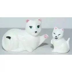  Cat and kitten