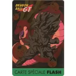 Carte Spéciale Flash