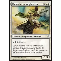 Chevaliers aux pluviers