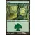 Forêt