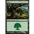 Forêt