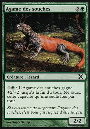 10ème Edition - Agame des souches