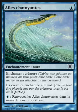 10ème Edition - Ailes chatoyantes