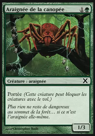 10ème Edition - Araignée de la canopée