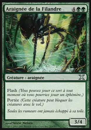 10ème Edition - Araignée de la filandre