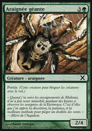 10ème Edition - Araignée géante