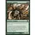 Araignée géante