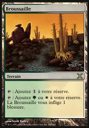 10ème Edition - Broussaille