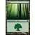 Forêt