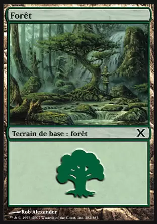 10ème Edition - Forêt