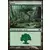 Forêt