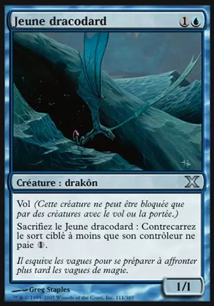 10ème Edition - Jeune dracodard
