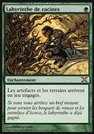 10ème Edition - Labyrinthe de racines